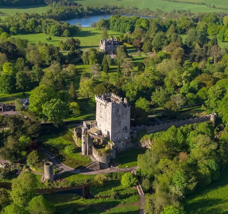 Foxhollow House Blarney Exteriér fotografie