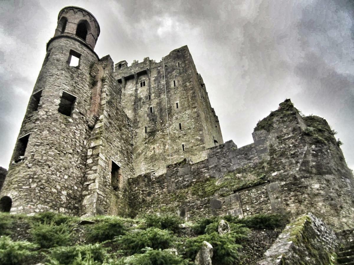 Foxhollow House Blarney Exteriér fotografie