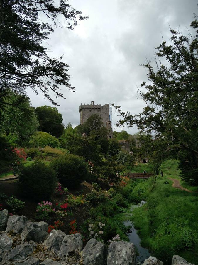 Foxhollow House Blarney Exteriér fotografie